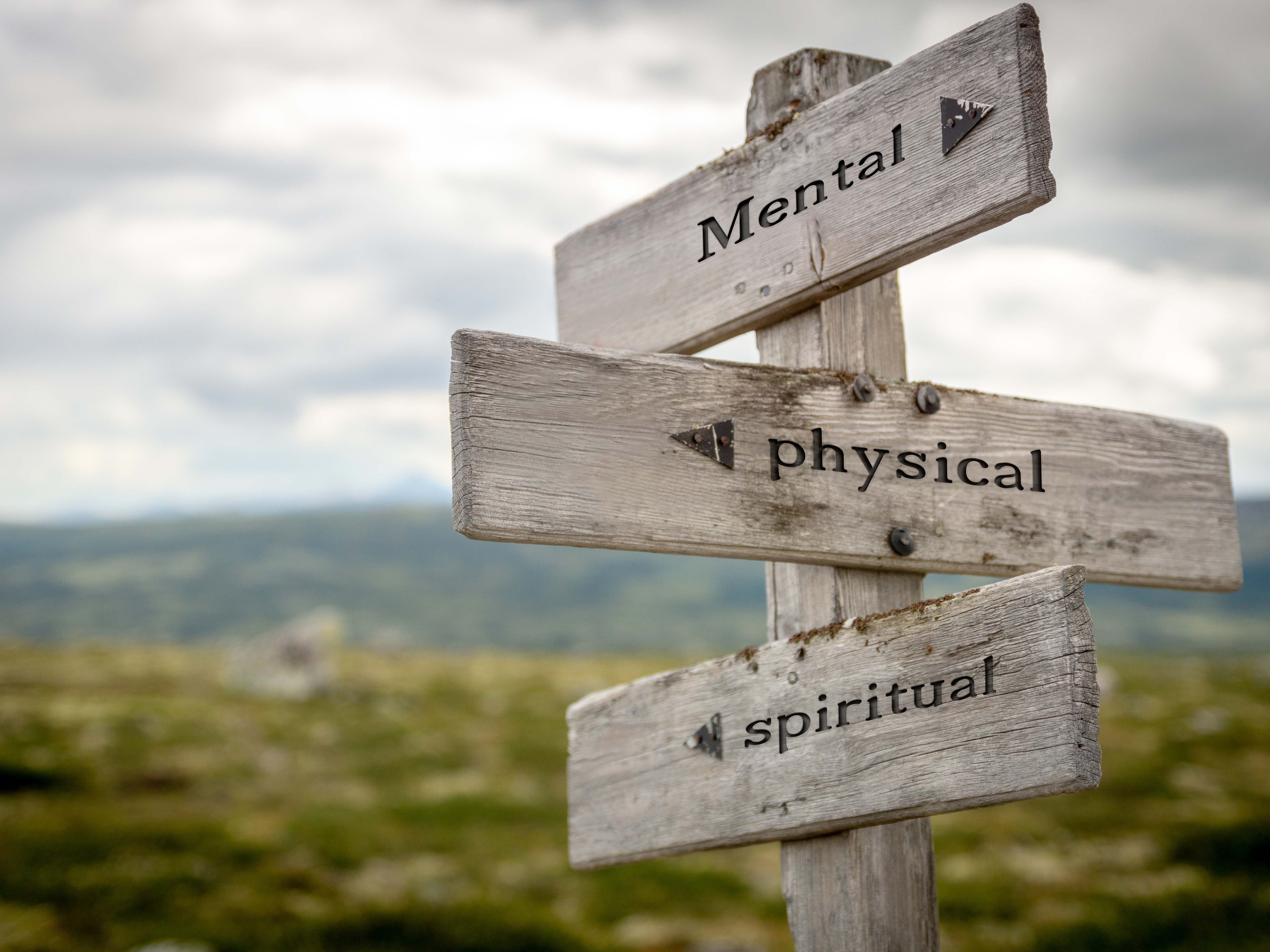 mental physical spiritual quote text on wooden signpost outdoors in nature